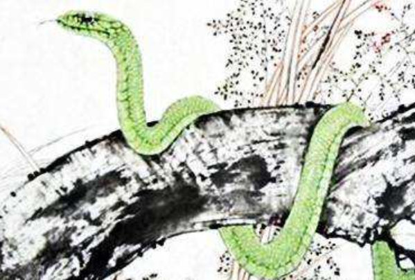 梦到蛇，迷雾中的预兆与心理解析——不喜勿入