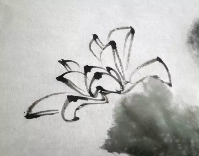 国画荷花的画法!