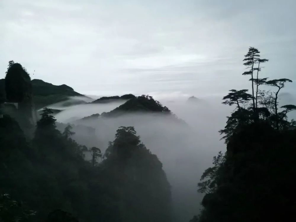 牛!宜章莽山五指峰建成全国首个全程无障碍山岳型景区