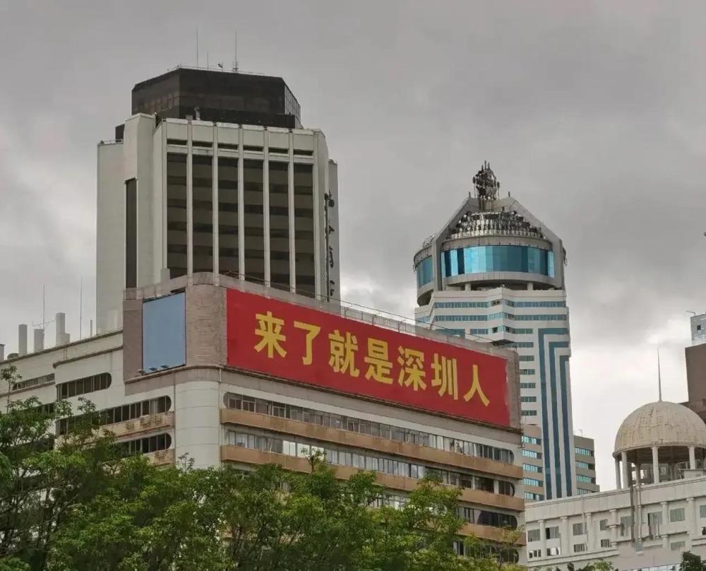 深圳小孩人口_深圳历年人口变化图(3)
