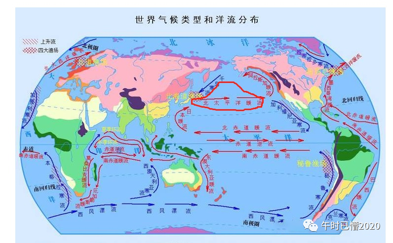 日本决定把核废水排入大海 可能损害人类dna