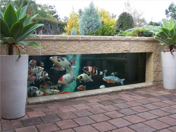 水泥砖砌院墙代替鱼塘,嵌入鱼缸养鱼,人家是景你家只是隔断墙
