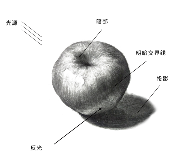 素描苹果画法-超级解析