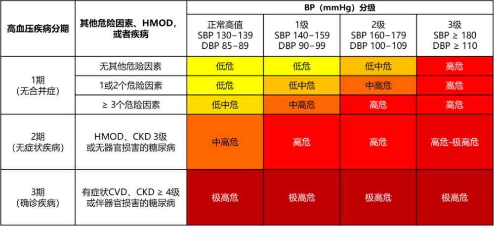 评估患者心血管危险因素并在此基础上对患者进行危险分层也十分重要