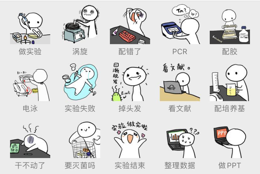 但"科研砖工"的日常大抵是相通的(来源:微信表情包"生物实验室的日常"