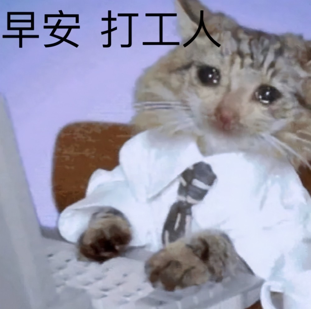 每天起床第一句—— 早安,打工人.