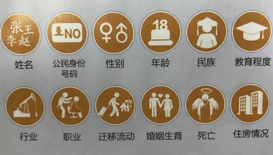 人口普查没查的_第七人口查普查手抄报