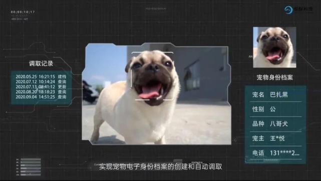 宠物识别ai技术,让"脸"成为宠物的原生"身份证"
