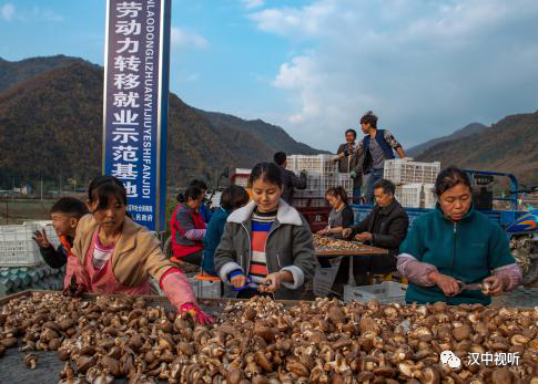 略阳人口多少_略阳人口分布网图
