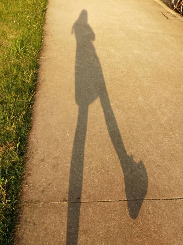 运气测试:4个女生的影子,你觉得哪个女生最美,测你是