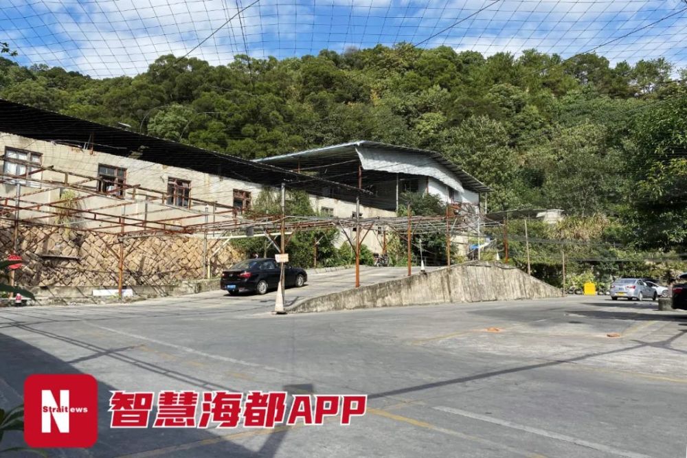 驾校人口_驾校练车图片