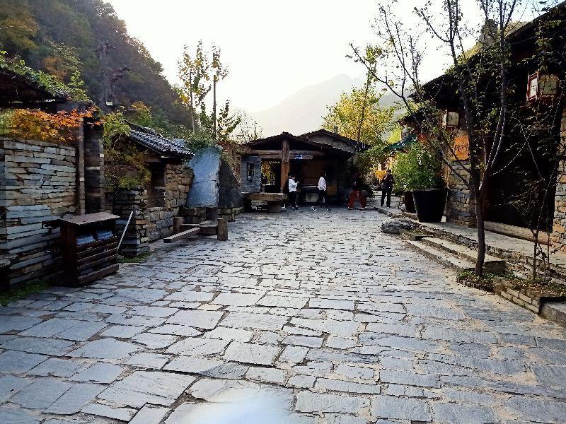 成语什么居道士_道士图片动漫(2)