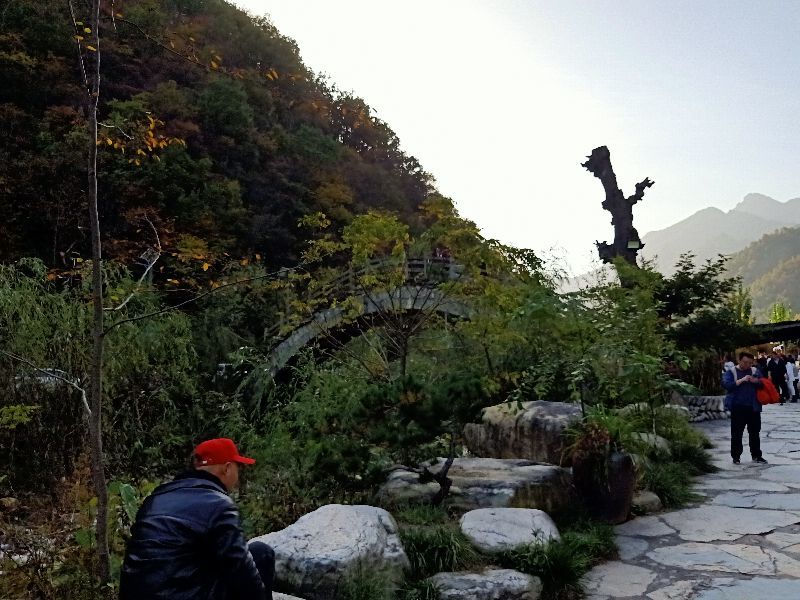 成语什么居道士_道士图片动漫(2)