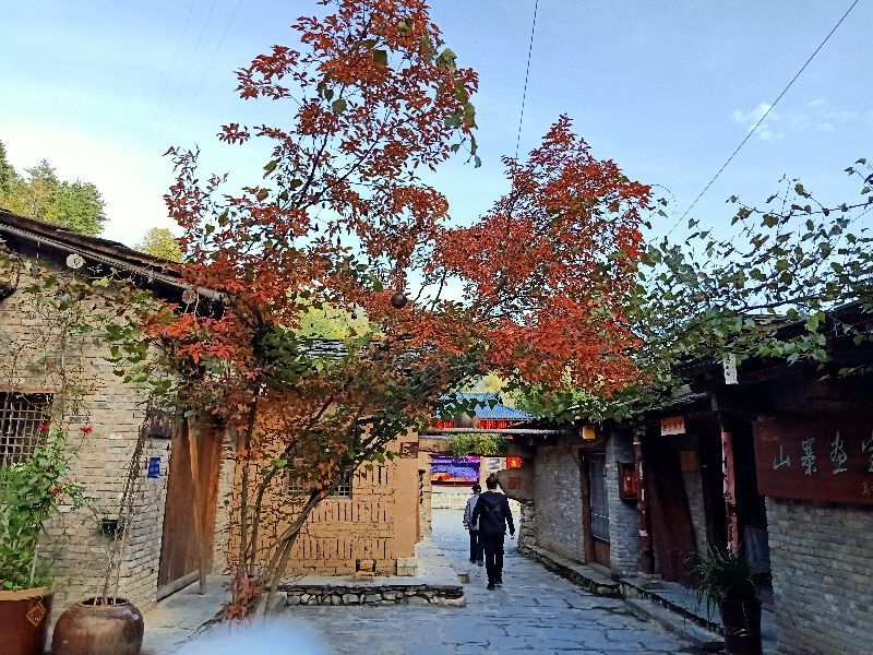成语什么居道士_道士图片动漫(2)