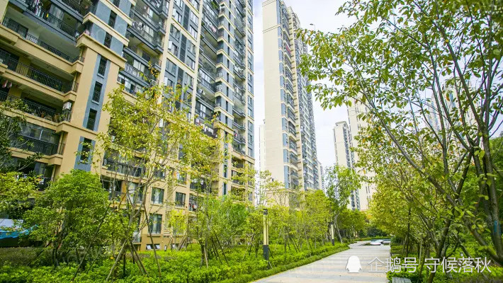 2019赣州人口_赣州客家人口分布(3)