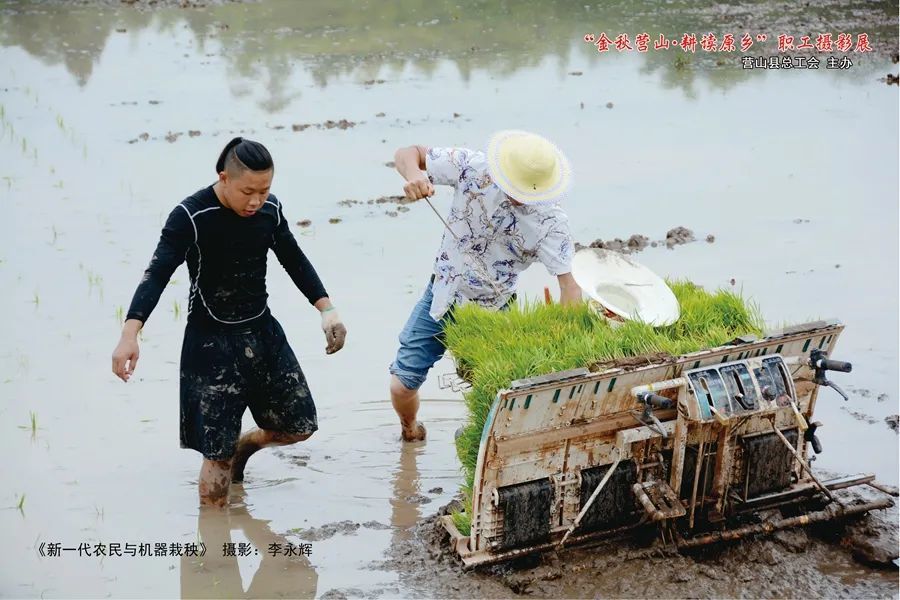 郭原乡人口_原乡小镇图片(3)