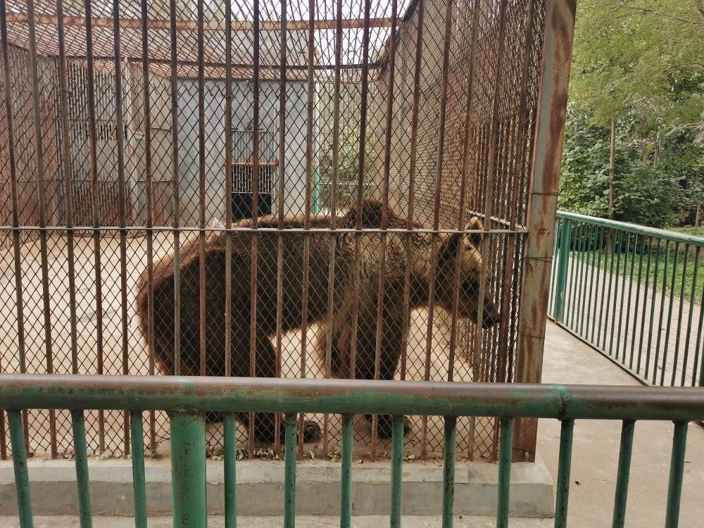 游聊城动物园