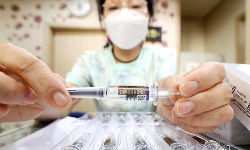 韩国病毒人口_韩国人口