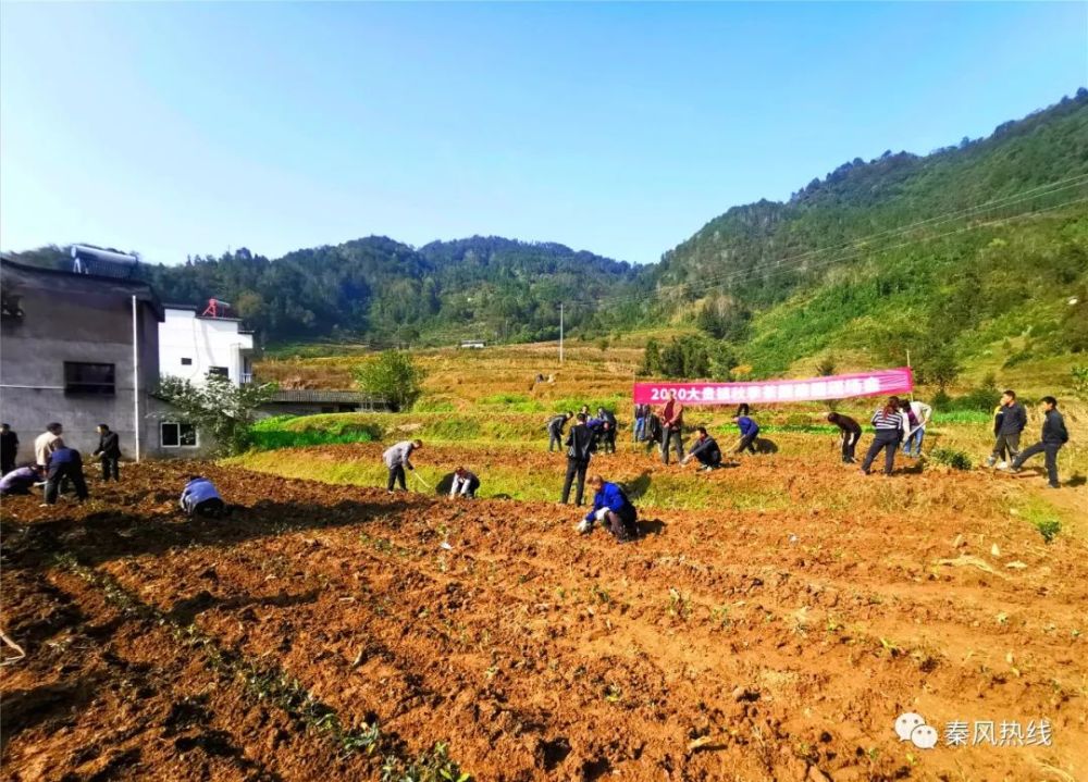 平利县大贵镇因茶致富