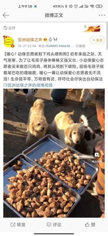 爱狗人士割鸡头喂狗,看狗吃的高兴激动哭了,网友讽刺:生命平等