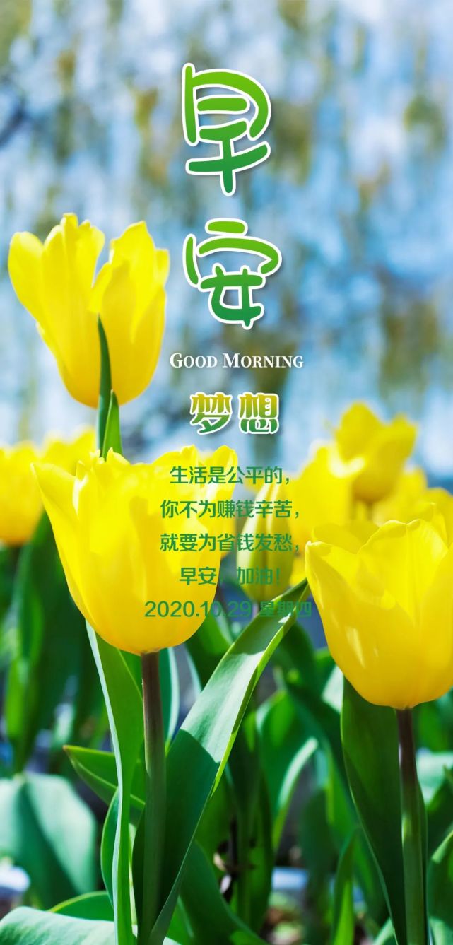 10月29日早上好正能量哲理句子,精致早安图片带字正能量励志