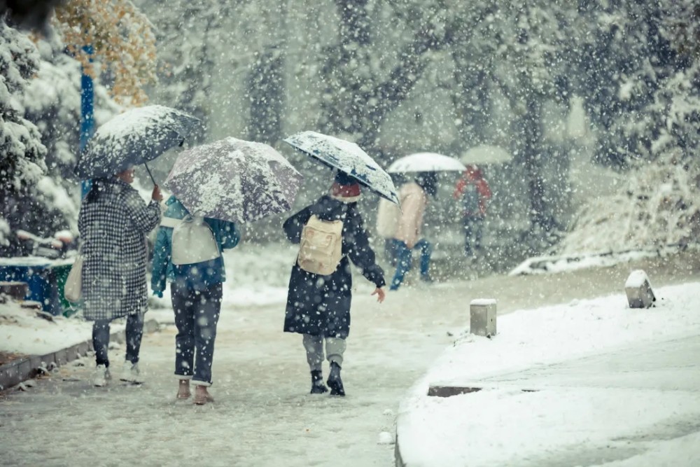 下雪啦,第一次见下雪的南方孩子,可以有多兴奋?
