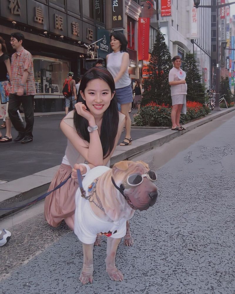 看清刘亦菲年轻时照片,我才知道什么是神仙姐姐
