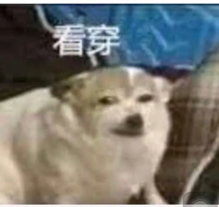 毁灭吧,烦了|沙雕表情包