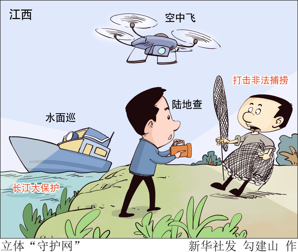 (图表·漫画)【长江经济带】立体"守护网"