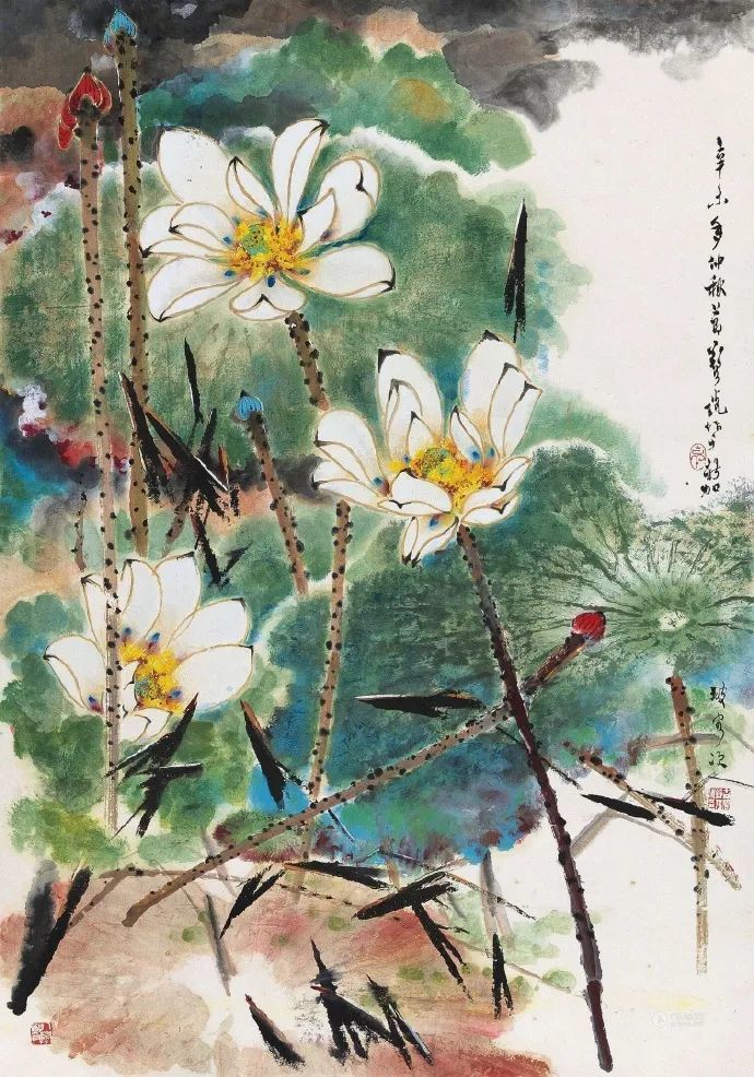 郑乃珖笔下的荷花
