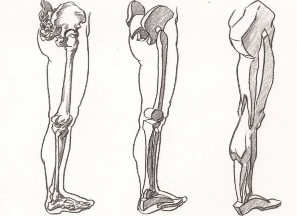 速写下肢怎么画干货来了