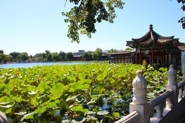 在北平只要是靠近水的地方都会有优美的风景