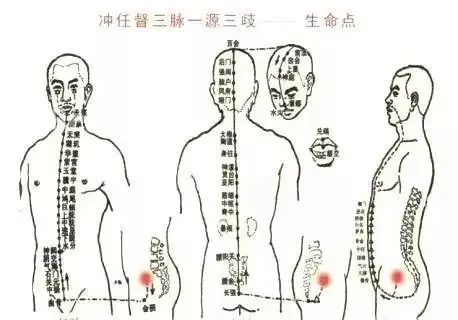 因为它是人体经脉气血正常运行的源头.