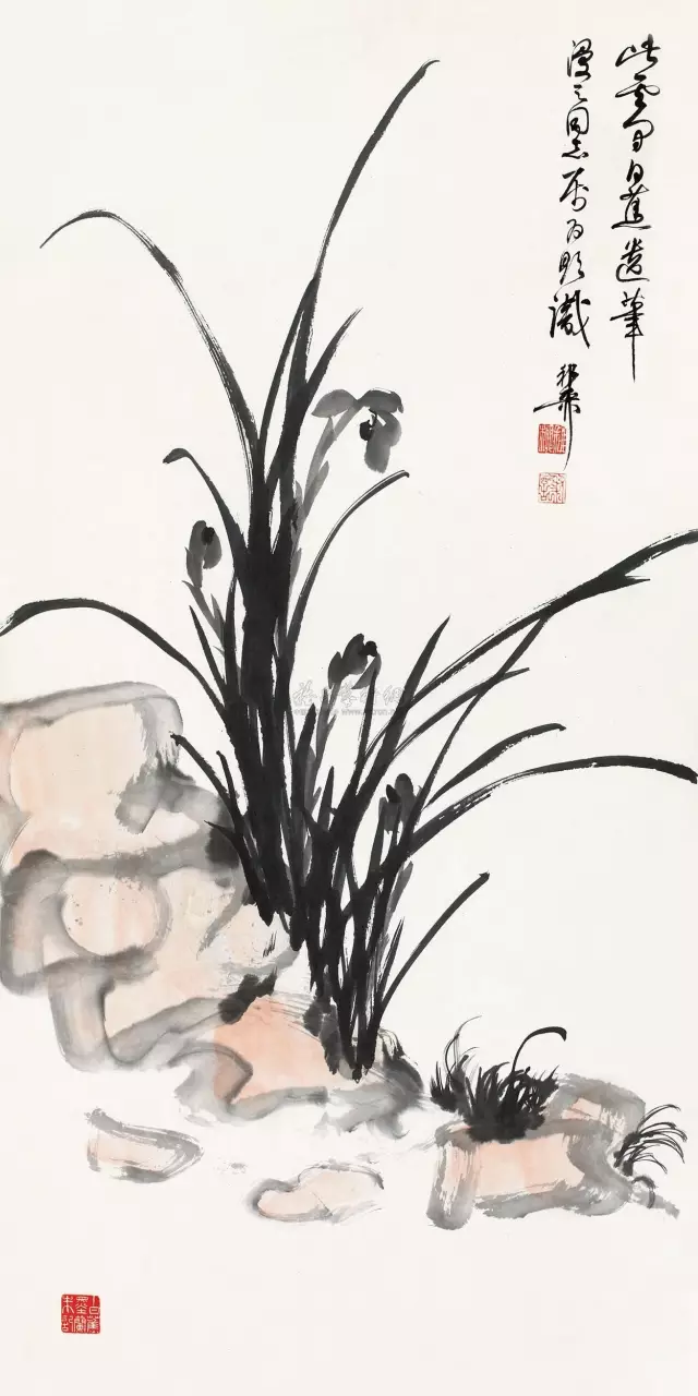 【博闻强识】白蕉:画兰,最难处在哪里?