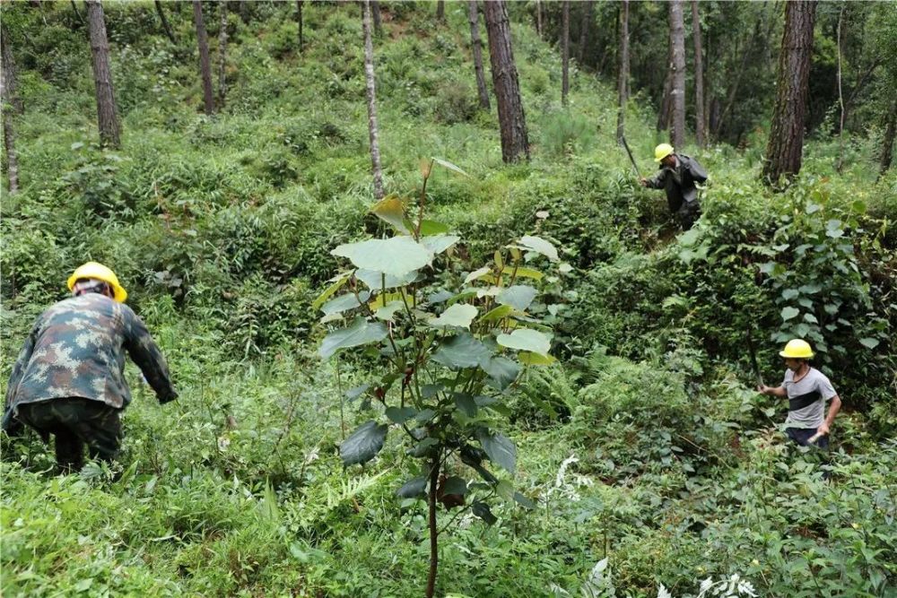 腾冲市各个乡镇GDP_中国 腾冲高黎贡山100英里超级越野赛报名 正式启动