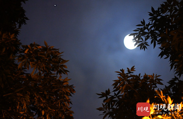 其实,在深秋的夜晚能仅凭肉眼能看到闪亮的金星和明月同挂天穹,如用