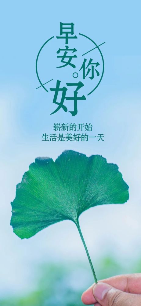 朋友圈最新出的走心励志语录 最给力的早安正能量说说