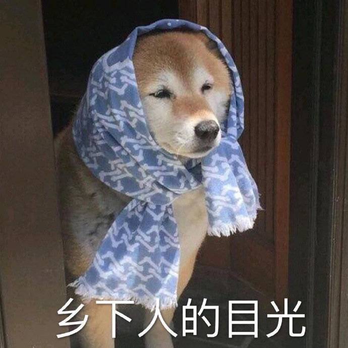 萌宠表情包:闭上眼睛,就没人知道我是没头脑!