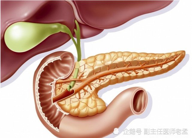 肩膀,后背疼痛久治不愈,小心心脏病与胆囊炎