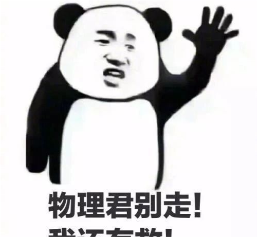 10条气哭牛顿的卡通定律,你看过的动画片没有一个逃得