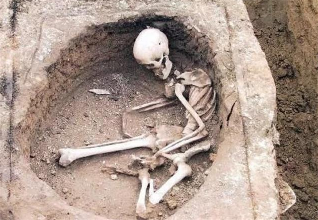 陕西农民盖猪圈挖出186具尸体,专家鉴定:挖到秦始皇的