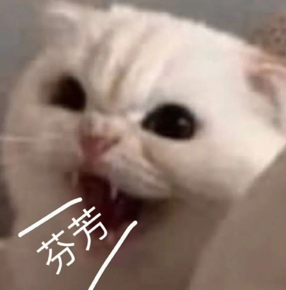 必站在我前面 用她的屁屁 若有似无的 蹭我蹭我 然后一脸无辜的表情