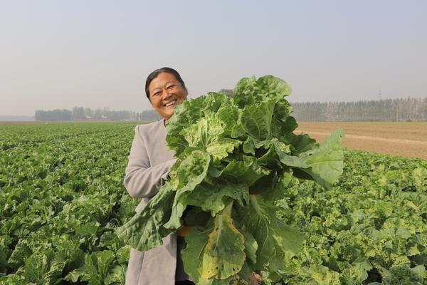 获嘉县太山乡gdp_一校一品不期 二 遇新乡市获嘉县三所学校