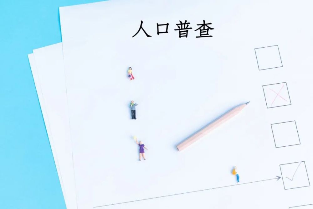 人口普查必须本人登记吗_普查人口登记表格图片