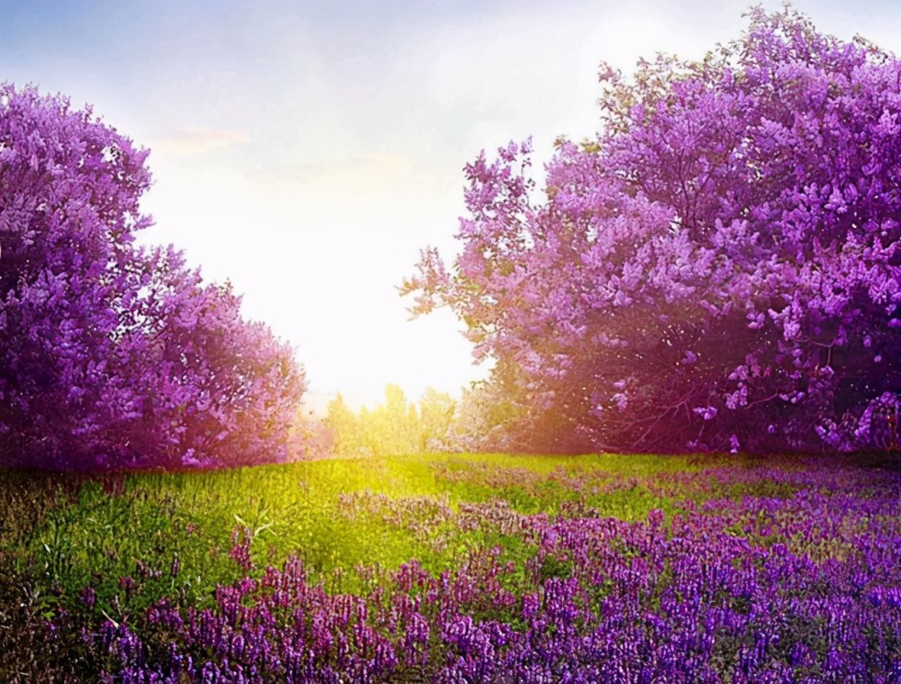 春天景色壁纸 春天景色壁纸画法