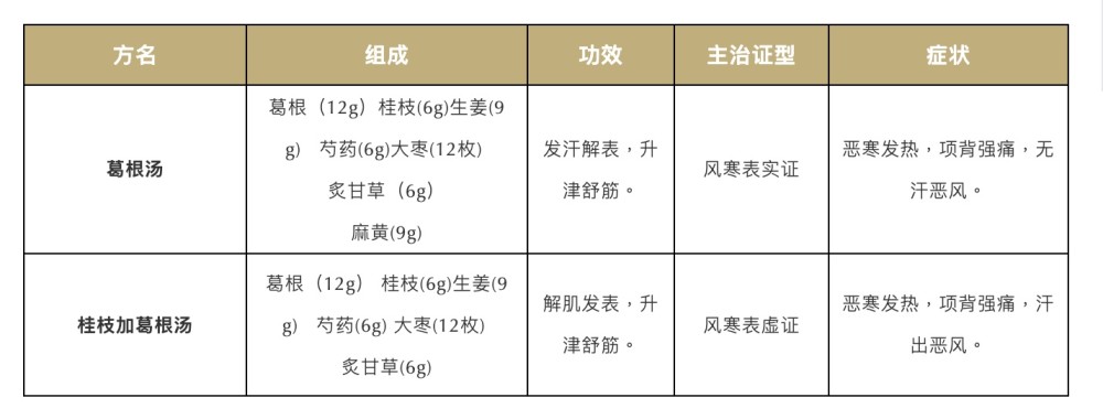 表实证,而桂枝加葛根汤用于治疗风寒表虚证.