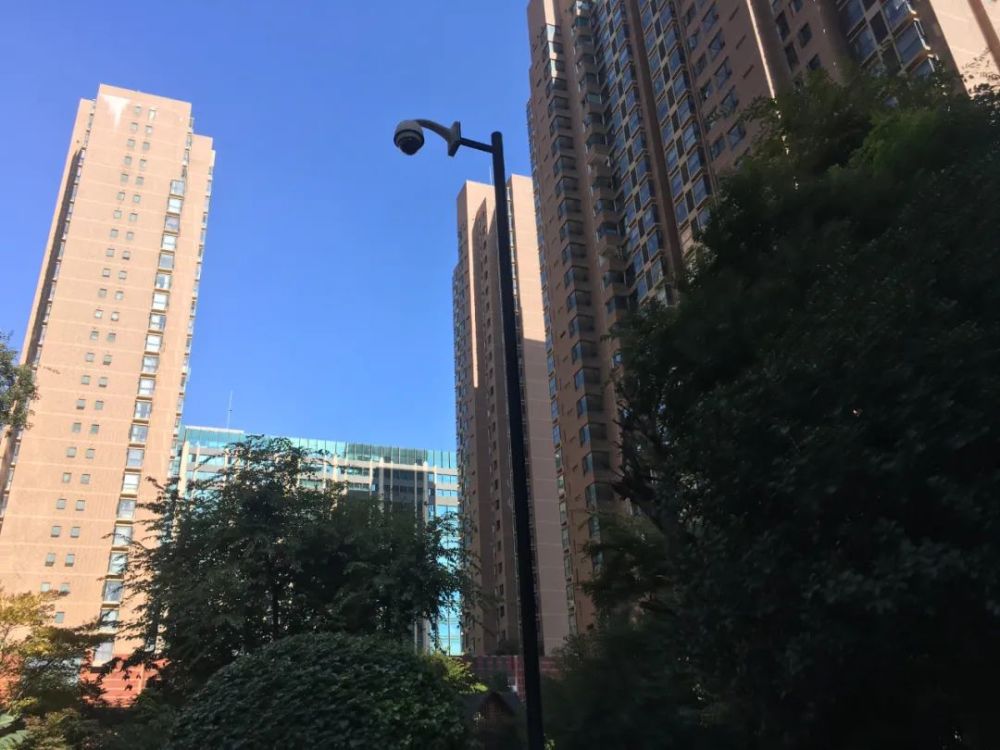 刀文兵案女被害人：同时出轨刀文兵和赵立功