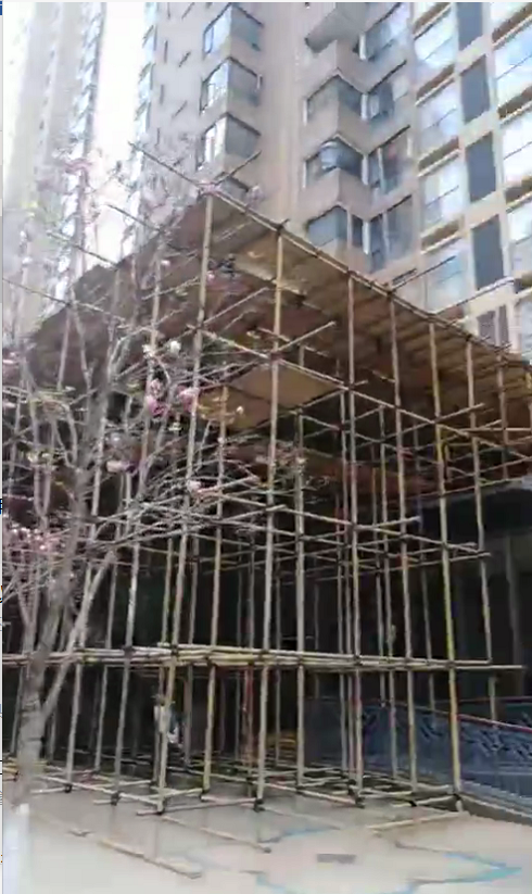 刀文兵案女被害人：同时出轨刀文兵和赵立功