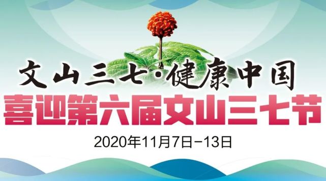 今日重点第六届文山三七节即将隆重开幕