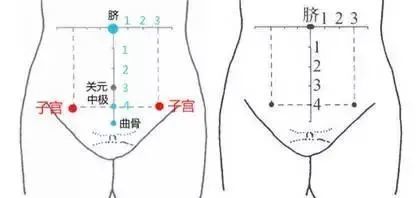 女性小腹肥胖,都是因为这个惹的祸!